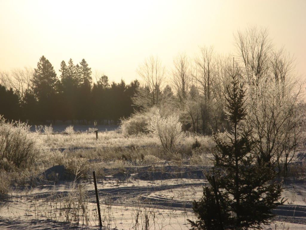 Frost covered, sunlight reflections. Direction: south-easterly.